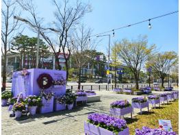 고양국제박람회재단, 꽃박람회 대비 보랏빛 화훼 포토존 설치 기사 이미지