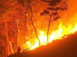 경기도, 모바일 메신저 활용 ‘산불재난 대응’ 모의훈련 실시 기사 이미지